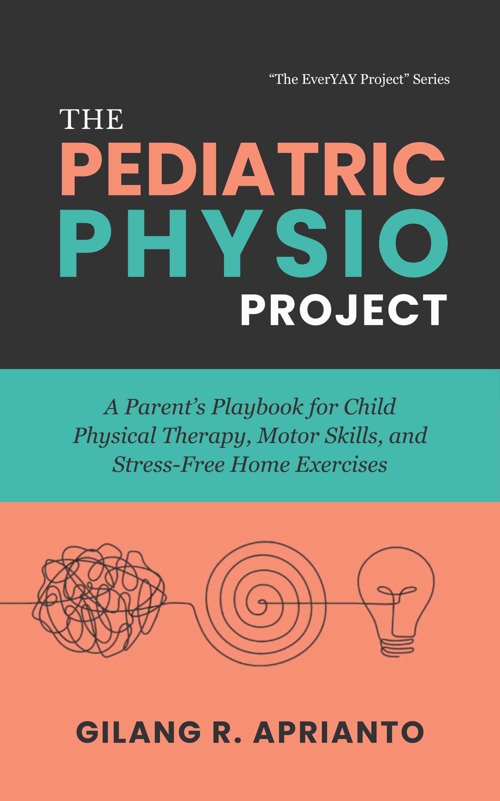 Cover of The Physio Project Manager book